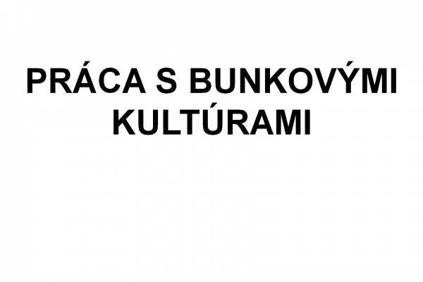 Práca s bunkovými kultúrami – 1