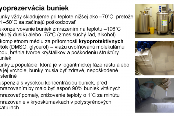 Práca s bunkovými kultúrami – 13