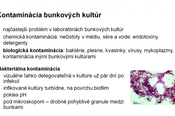 Práca s bunkovými kultúrami – 15