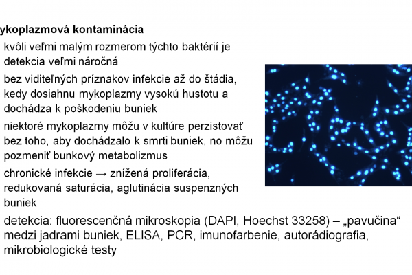 Práca s bunkovými kultúrami – 17