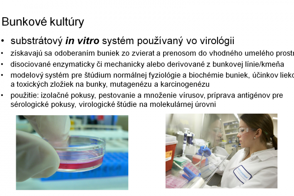 Práca s bunkovými kultúrami – 2