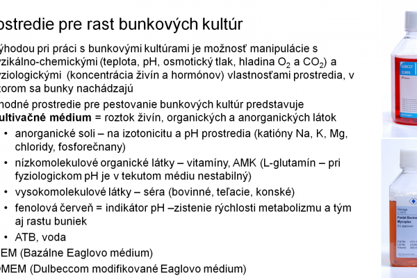 Práca s bunkovými kultúrami – 6