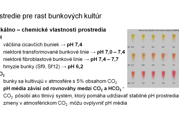 Práca s bunkovými kultúrami – 8