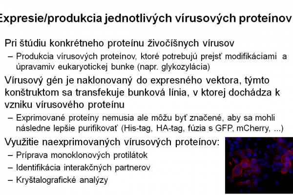 Využitie bunkových kultúr vo virológii – 7