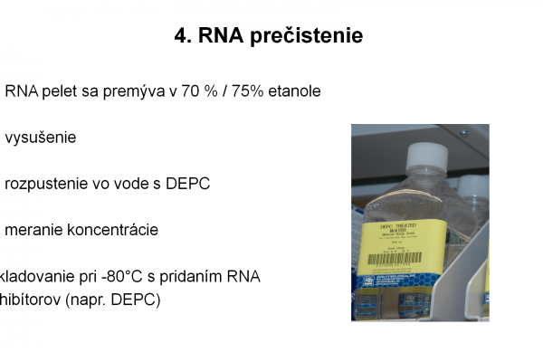 Izolácia RNA – 10