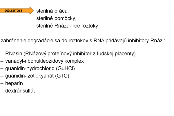 Izolácia RNA – 3