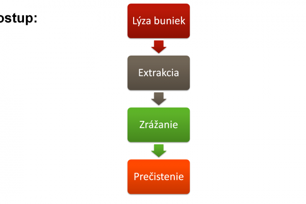 Izolácia RNA – 4