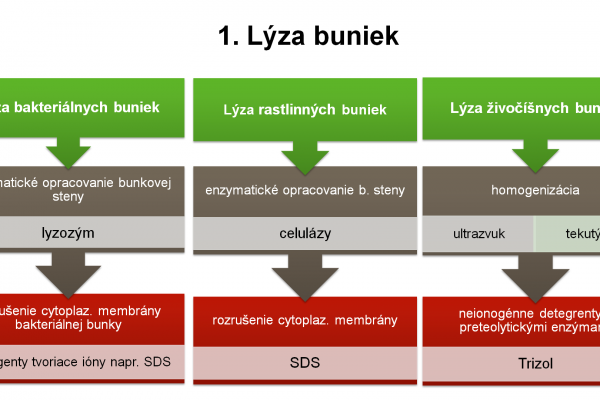 Izolácia RNA – 5