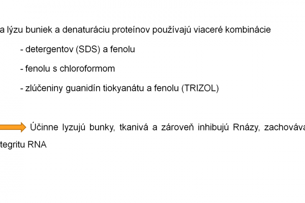 Izolácia RNA – 6