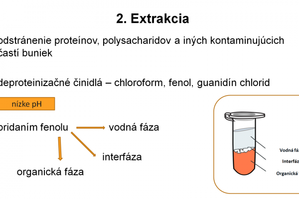 Izolácia RNA – 7