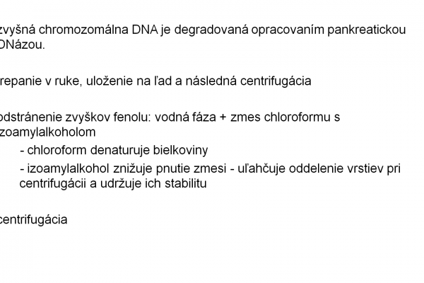 Izolácia RNA – 8