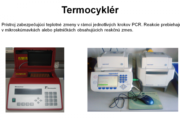 PCR – 11