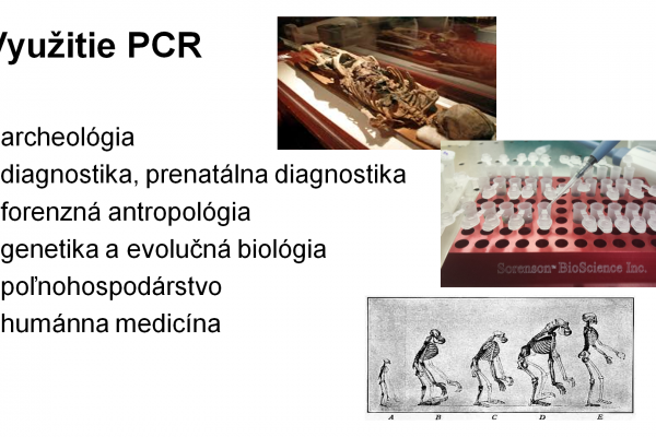 PCR – 12