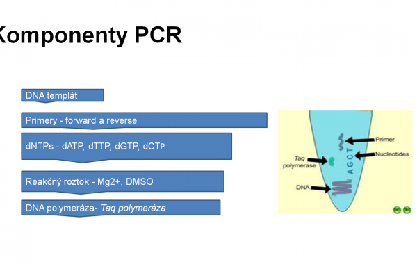 PCR – 3