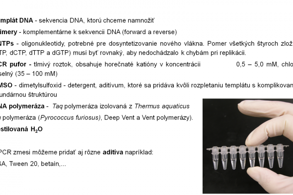 PCR – 4