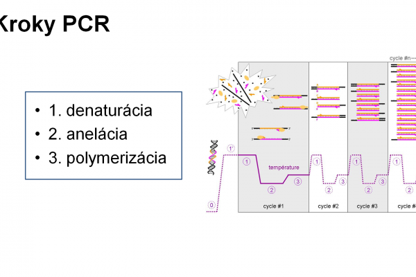 PCR – 5