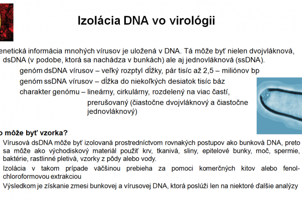 Izolácia DNA vo virológii – 1