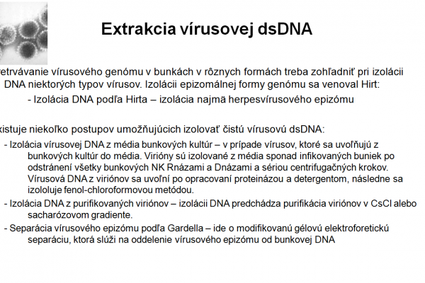 Izolácia DNA vo virológii – 4