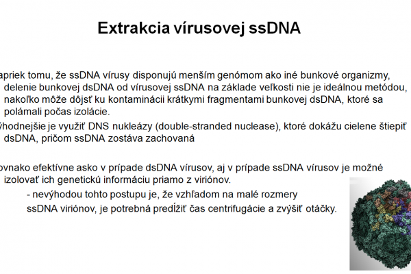 Izolácia DNA vo virológii – 5