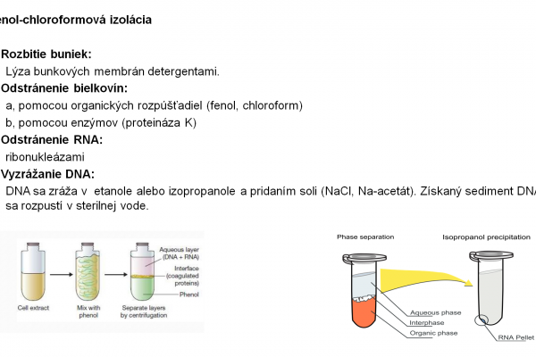 Izolácia DNA -12