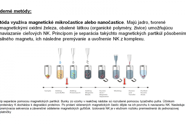 Izolácia DNA -14