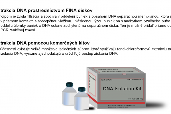 Izolácia DNA -15