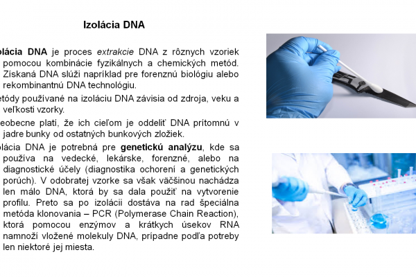 Izolácia DNA – 4