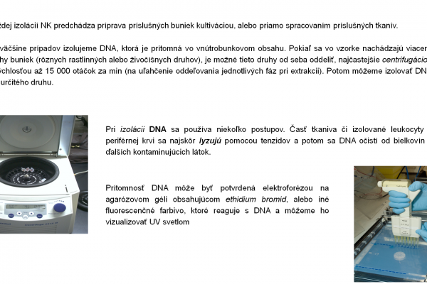 Izolácia DNA – 6