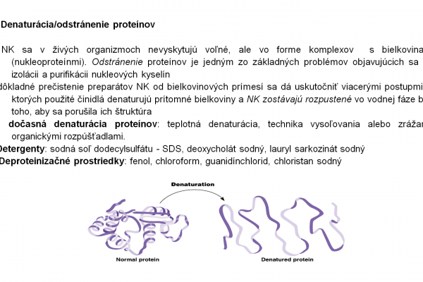 Izolácia DNA – 8