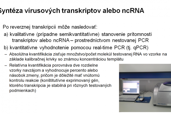 Využitie PCR vo virológii – 6