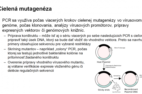 Využitie PCR vo virológii – 7