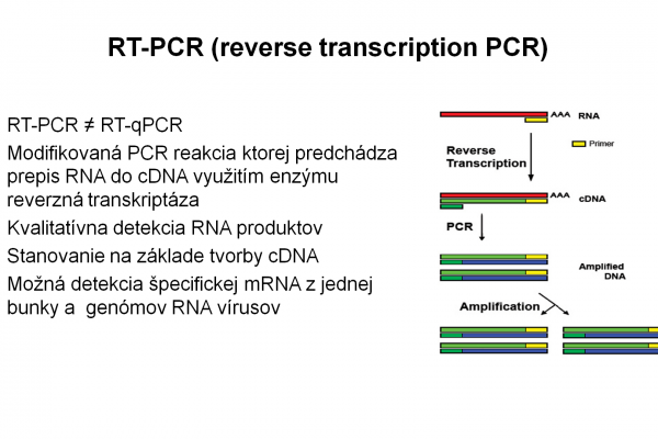 RT-PCR – 1