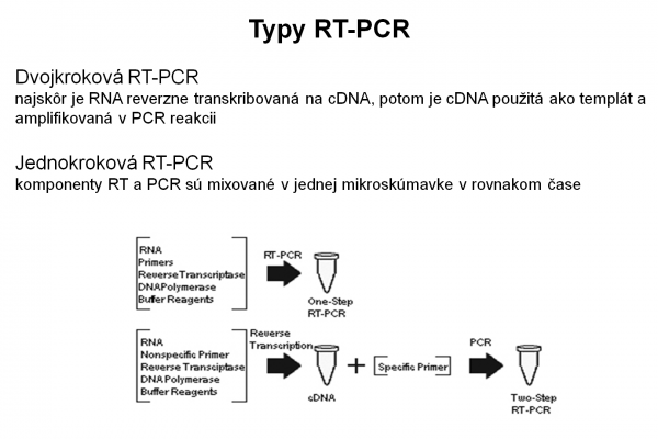 RT-PCR – 2