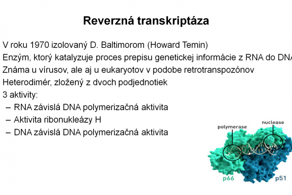 RT-PCR – 4