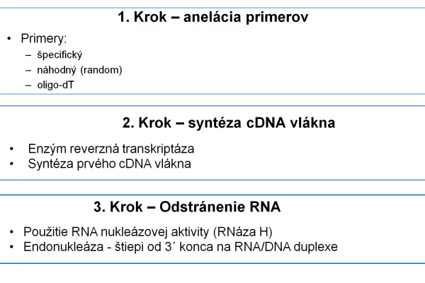 RT-PCR – 6