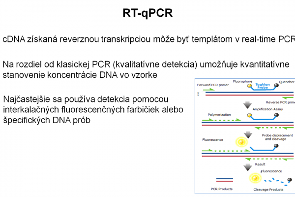 RT-PCR – 9