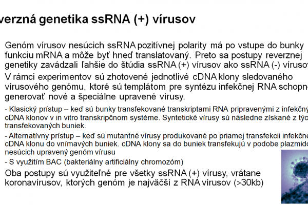 Využitie RT-PCR vo virológii – 3