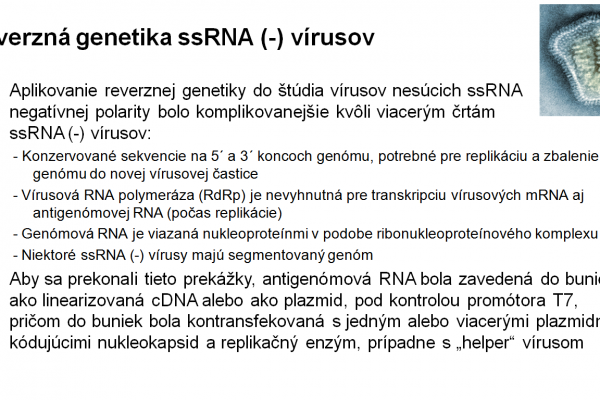 Využitie RT-PCR vo virológii – 4