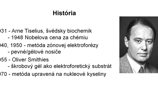 Elektroforéza v agarózovom géli – 1