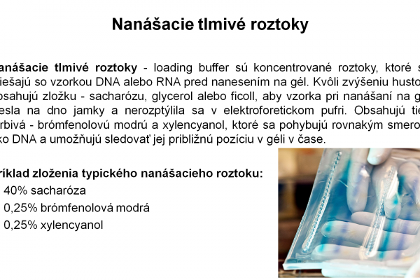 Elektroforéza v agarózovom géli – 10