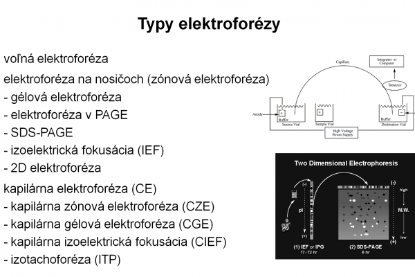 Elektroforéza v agarózovom géli – 5