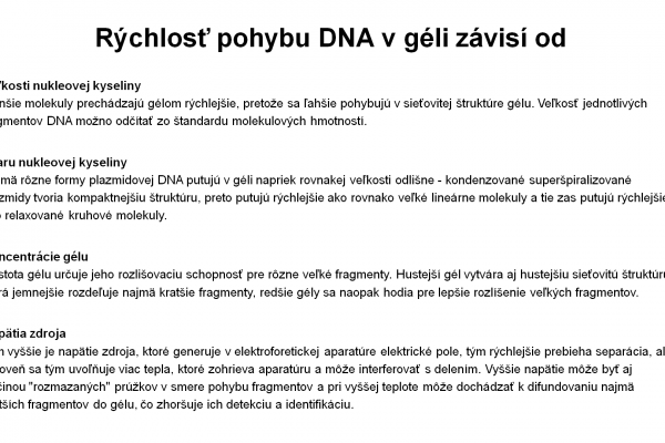 Elektroforéza v agarózovom géli – 8