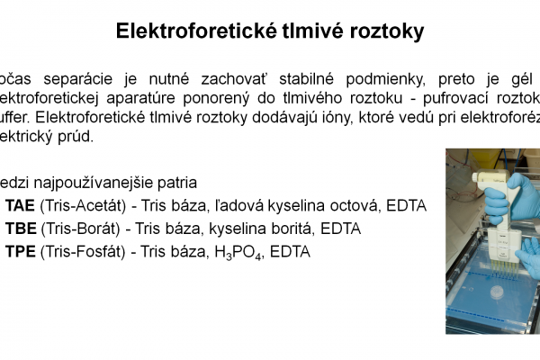 Elektroforéza v agarózovom géli – 9