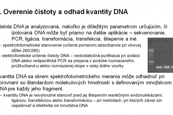 Využitie ELFO v agarózovom géli vo virológii – 2