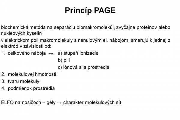 Elektroforéza v PAGE – 2