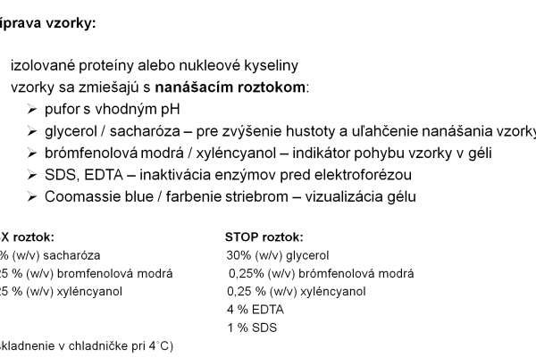 Elektroforéza v PAGE – 5