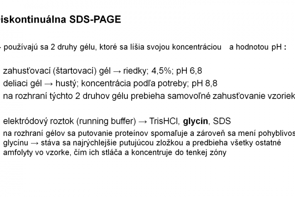 Elektroforéza v PAGE – 7